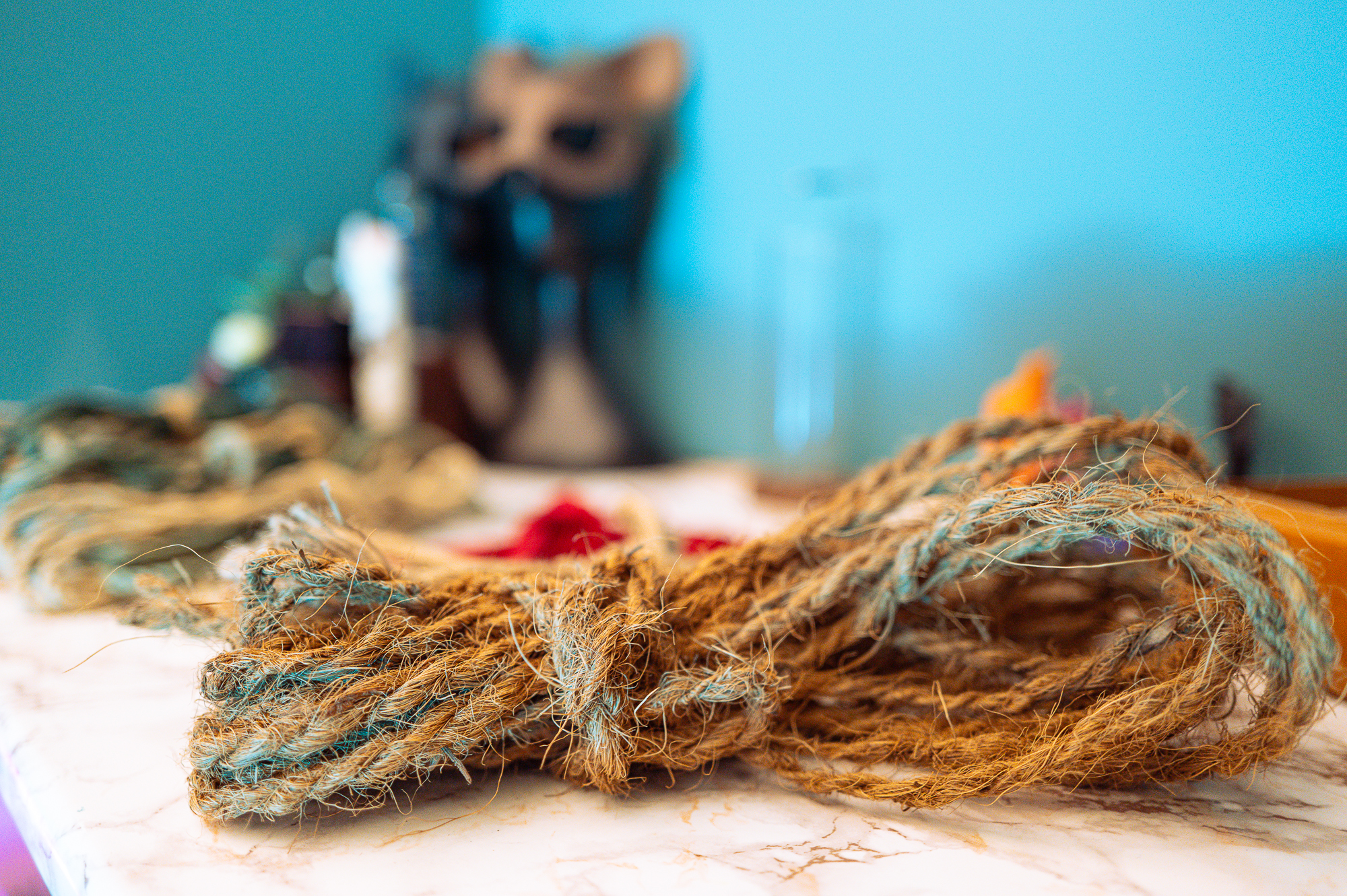 Rope textures and soft seating in The Nest.